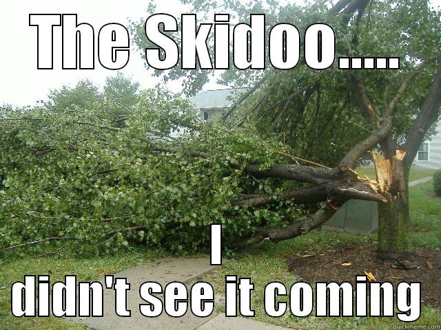 THE SKIDOO..... I DIDN'T SEE IT COMING Misc