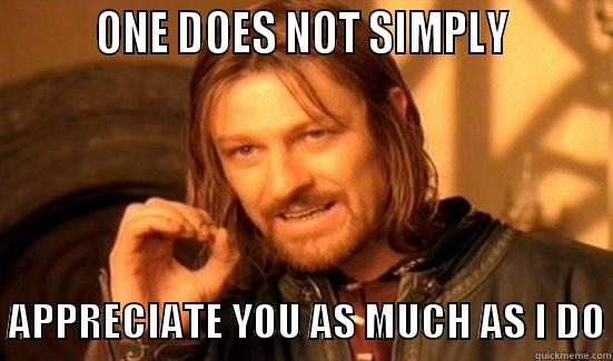 One does not simply appreciate you as much as i do -         ONE DOES NOT SIMPLY           APPRECIATE YOU AS MUCH AS I DO Boromir