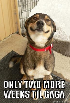  ONLY TWO MORE WEEKS TIL GAGA Good Dog Greg