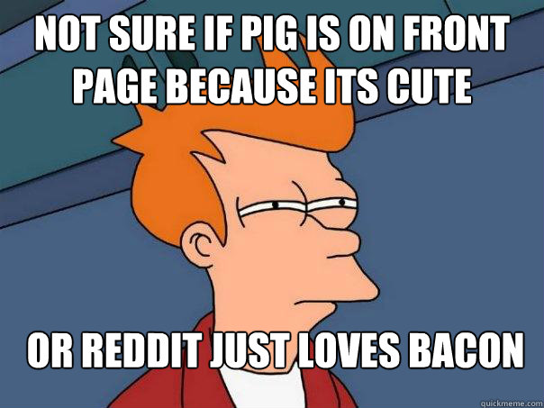 Not sure if pig is on front page because its cute or reddit just loves bacon  Futurama Fry