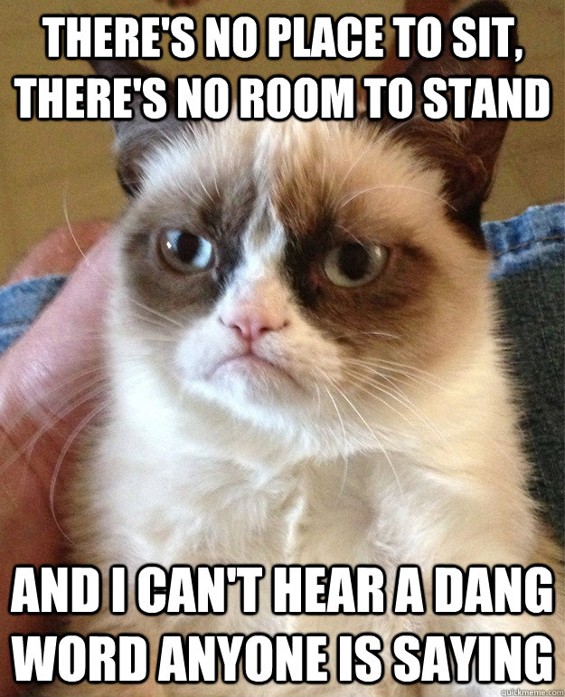 there's no place to sit, there's no room to stand and i can't hear a dang word anyone is saying  Grumpy Cat