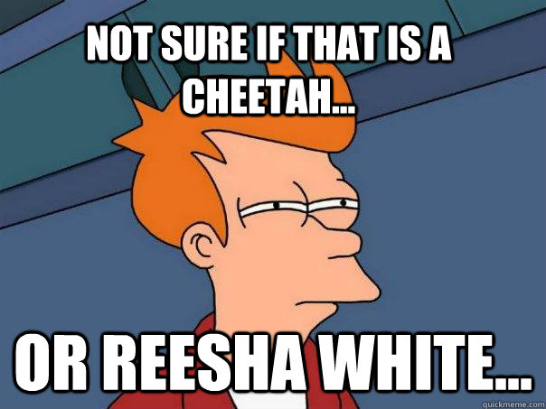 Not sure if that is a cheetah... Or Reesha White...  Futurama Fry