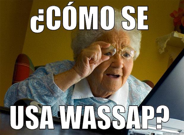 ¿CÓMO SE USA WASSAP? Grandma finds the Internet