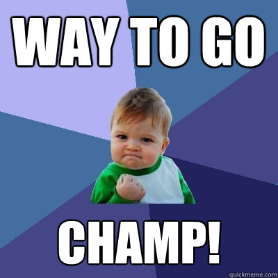 WAY TO GO CHAMP!  Success Kid