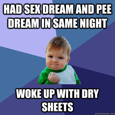 Had sex dream and pee dream in same night Woke up with dry sheets  Success Kid