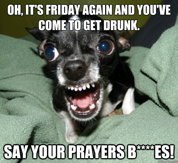 Oh, it's Friday again and you've come to get drunk. say your prayers b****es! - Oh, it's Friday again and you've come to get drunk. say your prayers b****es!  Chihuahua Logic