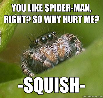 You like spider-man, right? so why hurt me? -SQUISH-  Misunderstood Spider