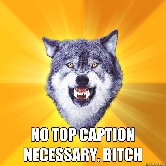  NO TOP CAPTION NECESSARY, BITCH  Courage Wolf