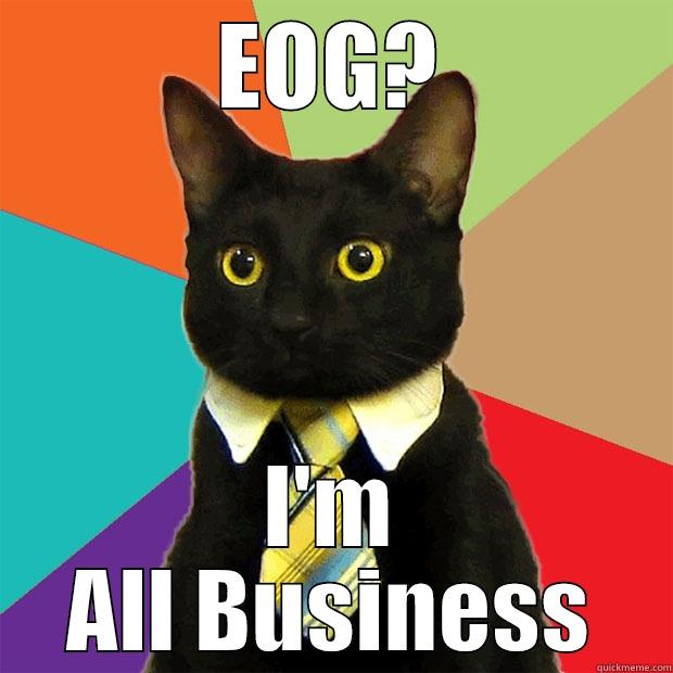 School cat - EOG? I'M ALL BUSINESS Business Cat
