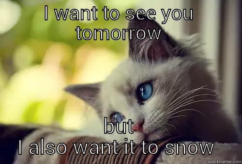 thinking kitty - I WANT TO SEE YOU TOMORROW BUT I ALSO WANT IT TO SNOW  First World Cat Problems