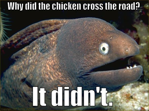 Lame joke eel makes a lame joke. - WHY DID THE CHICKEN CROSS THE ROAD? IT DIDN'T. Bad Joke Eel