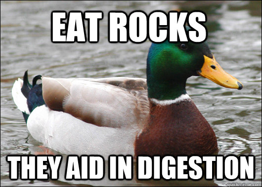 Eat rocks They aid in digestion  Actual Advice Mallard