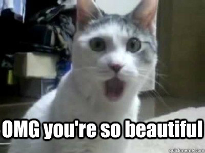  OMG you're so beautiful  