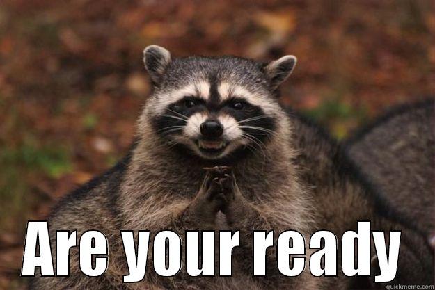  ARE YOUR READY Evil Plotting Raccoon