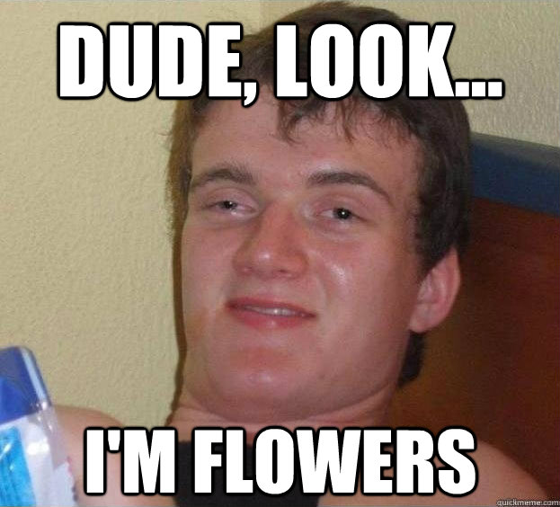 Dude, look... i'm flowers Caption 3 goes here  The High Guy