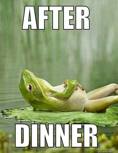 the beauty of a full stomach - AFTER DINNER Misc