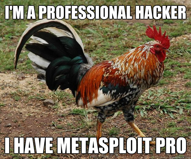 I'm a professional hacker I have metasploit pro - I'm a professional hacker I have metasploit pro  Red Team Rooster