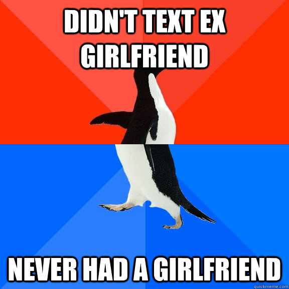 didn't text ex girlfriend never had a girlfriend - didn't text ex girlfriend never had a girlfriend  Socially Awesome Awkward Penguin