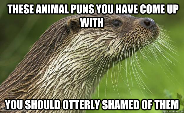 these animal puns you have come up with you should otterly shamed of