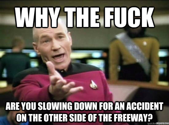 Why the fuck Are you slowing down for an accident on the other side of the freeway?  Annoyed Picard HD
