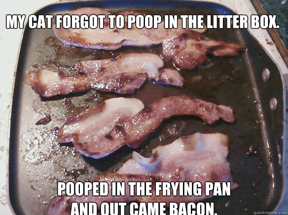 My cat forgot to poop in the litter box.
 Pooped in the frying pan and out came bacon.
 - My cat forgot to poop in the litter box.
 Pooped in the frying pan and out came bacon.
  Misc
