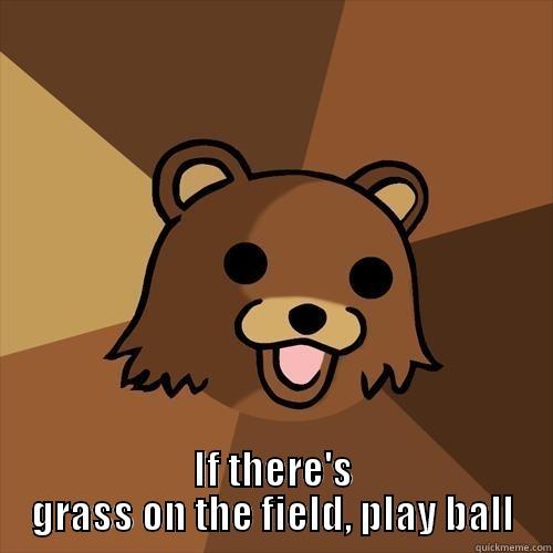 If there's grass on the field, play ball -  IF THERE'S GRASS ON THE FIELD, PLAY BALL Pedobear