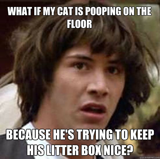 What if my cat is pooping on the floor because he's trying to keep his litter box nice? - What if my cat is pooping on the floor because he's trying to keep his litter box nice?  conspiracy keanu