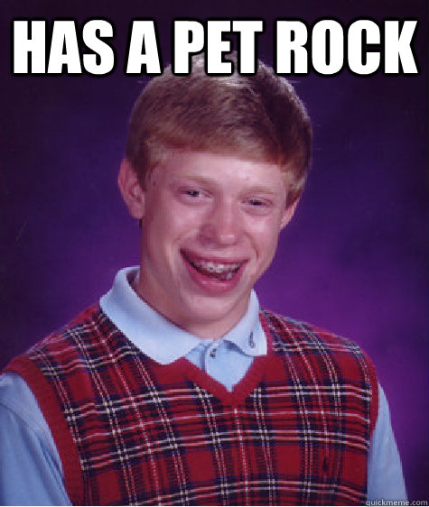 Has a Pet rock   Bad Luck Brian