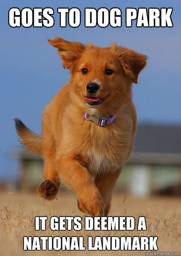 Goes to dog park it gets deemed a national landmark  Ridiculously Photogenic Puppy