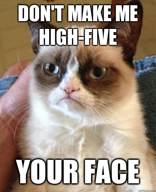 Don't make me high-five your face - Don't make me high-five your face  Angry Cat