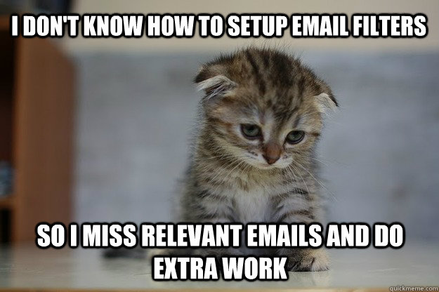 I don't know how to setup email filters So I miss relevant emails and do extra work  Sad Kitten