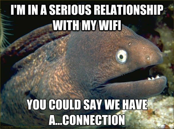 I'm in a serious relationship with my wifi you could say we have a...connection  Bad Joke Eel