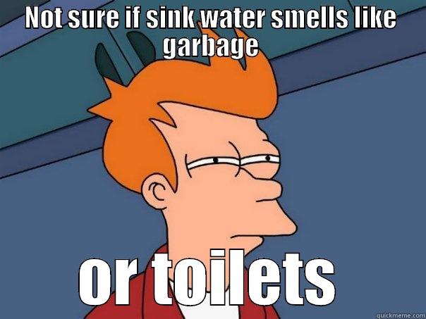 NOT SURE IF SINK WATER SMELLS LIKE GARBAGE OR TOILETS Futurama Fry