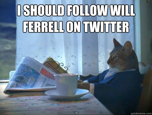 I should follow will ferrell on twitter   The One Percent Cat