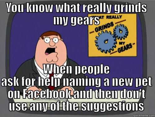 YOU KNOW WHAT REALLY GRINDS MY GEARS WHEN PEOPLE ASK FOR HELP NAMING A NEW PET ON FACEBOOK AND THEN DON'T USE ANY OF THE SUGGESTIONS Grinds my gears