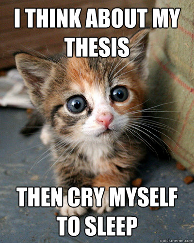 I think about my thesis then cry myself to sleep  Thesis Kitten