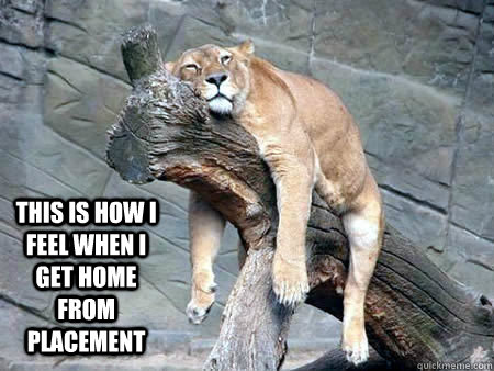 This is how I feel when I get home from placement  Exhausted