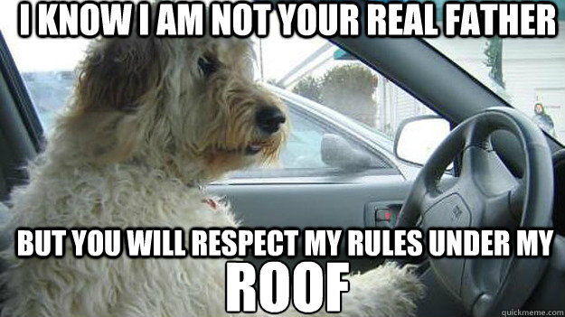 i know i am not your real father but you will respect my rules under my  roof  