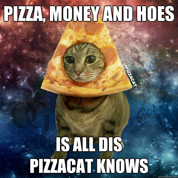 Pizza, Money and Hoes is all dis
pizzacat knows  PIZZACAT