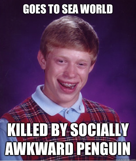 Goes to sea world  Killed by socially awkward penguin  Bad Luck Brian