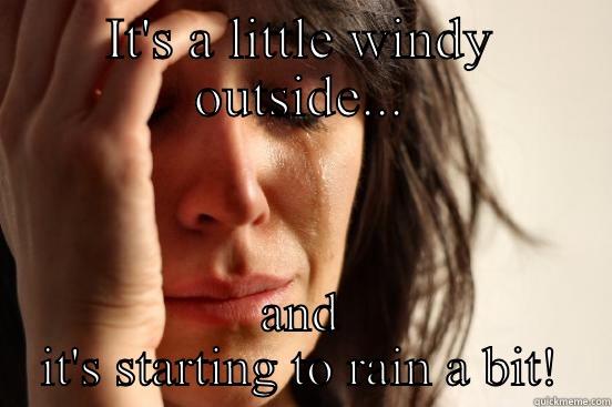 IT'S A LITTLE WINDY OUTSIDE... AND IT'S STARTING TO RAIN A BIT! First World Problems