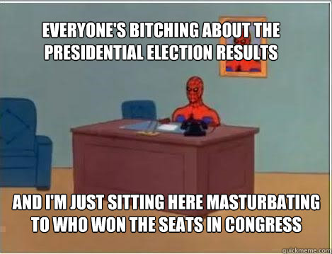 Everyone's bitching about the presidential election results And I'm just sitting here masturbating to who won the seats in Congress  Spiderman