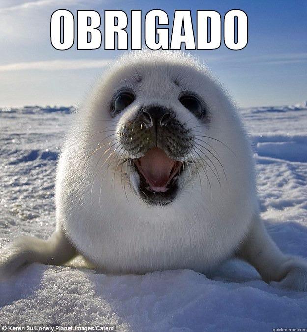 EU HAPPY SEAL - OBRIGADO  Easily Pleased Seal