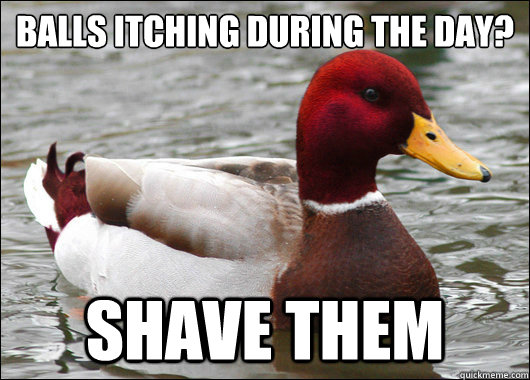 balls itching during the day?
 shave them  Malicious Advice Mallard