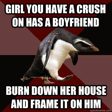 Girl you have a crush on has a boyfriend burn down her house and frame it on him   Socially Insane Penguin