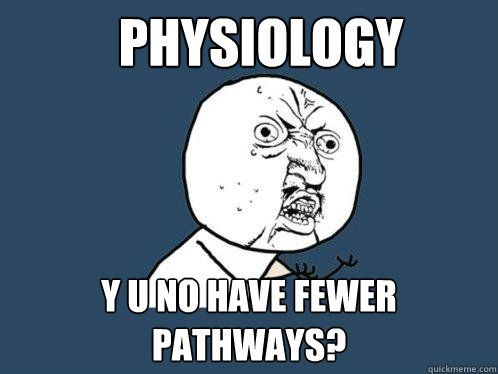 Physiology y u no have fewer pathways?  Y U No