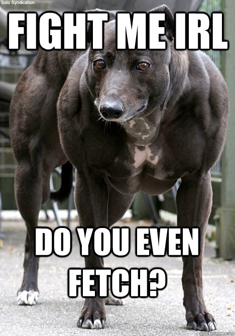 Fight me IRL Do you even fetch?  Steroid Dog
