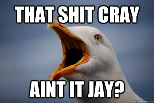 That shit cray Aint it Jay? - That shit cray Aint it Jay?  THAT SHIT CRAY