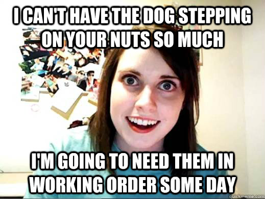 I can't have the dog stepping on your nuts so much i'm going to need them in working order some day  OverlyAttachedSarahCollins