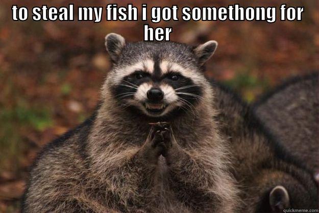  TO STEAL MY FISH I GOT SOMETHONG FOR HER Evil Plotting Raccoon
